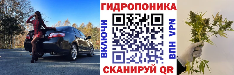 Купить закладку Железноводск COCAIN Мефедрон Alpha-PVP Псилоцибиновые грибы Марихуана