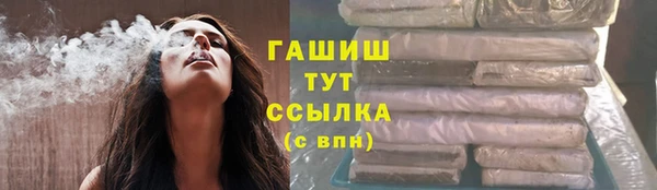 молекула духа Вяземский