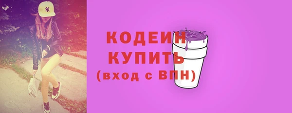 молекула духа Вяземский
