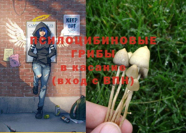 гашиш Вязники