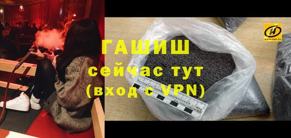 молекула духа Вяземский